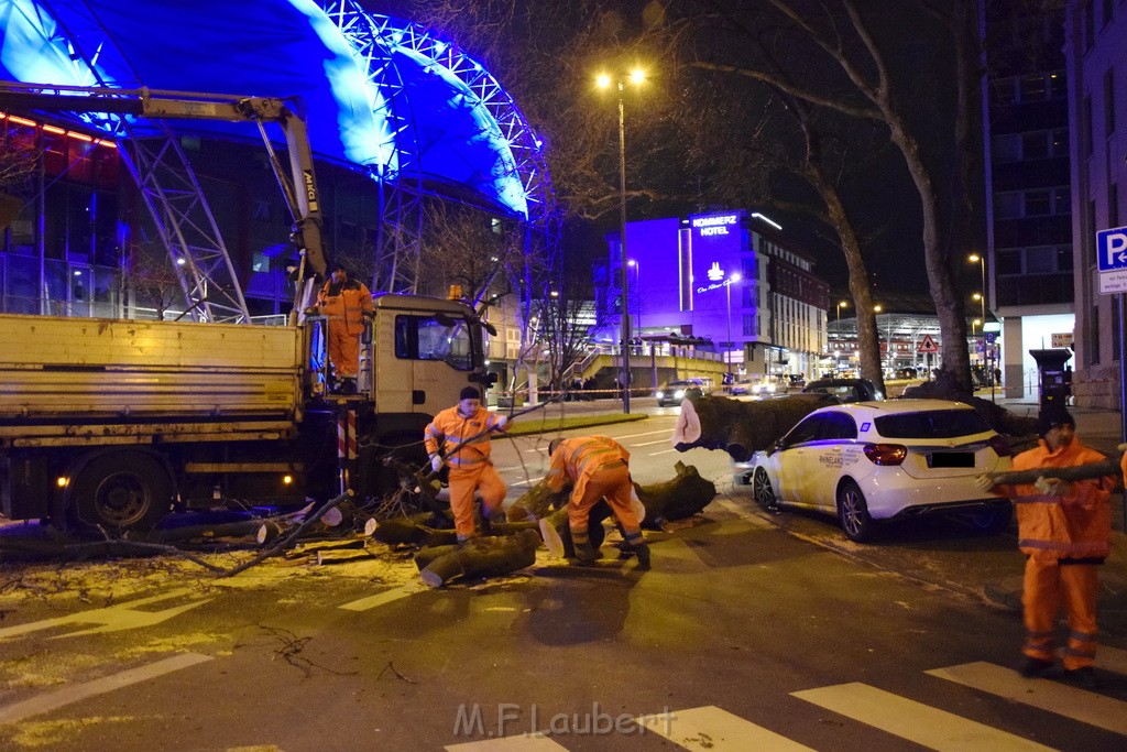 Baum auf PKWs Koeln Mitte Rheinuferstr Goldgasse P026.JPG - Miklos Laubert